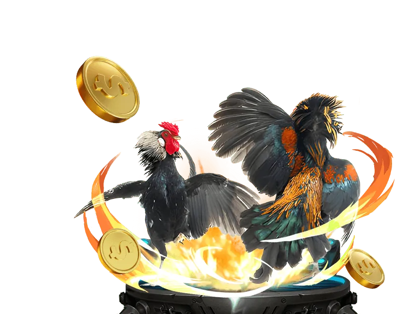 Cam kết và giá trị cốt lõi của qq888 Casino